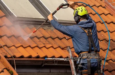 Démoussage et hydrofuge de toiture à Rapey
